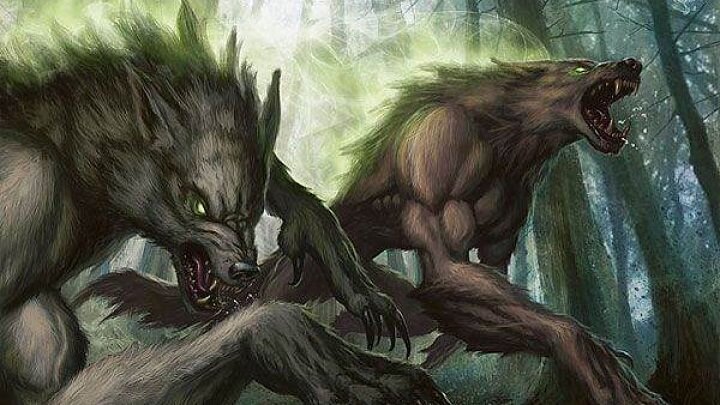 Comparison between Lycan and Werewolf