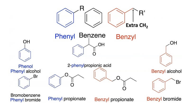 Difference Between Benzyl and Phenyl