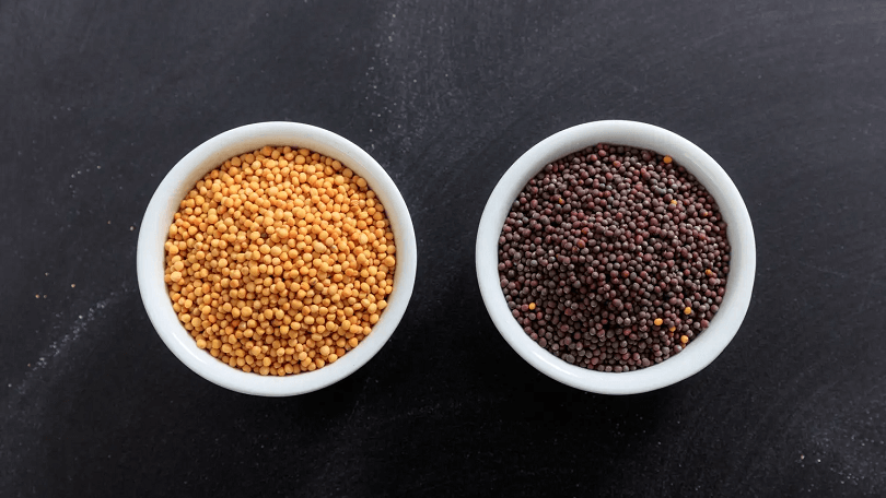 Difference Between Black Mustard Seed and Yellow Mustard Seed