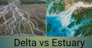 Difference Between Delta and Estuary