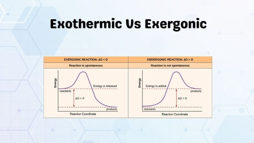 Difference Between Exothermic and Exergonic