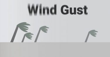 Difference Between Gust and Wind