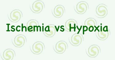 Difference Between Hypoxia and Ischemia