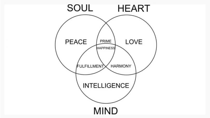 Difference Between Mind and Soul