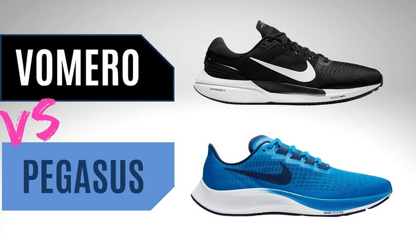 Difference Between Nike Pegasus and Vomero