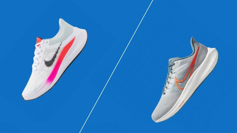 Difference Between Nike Pegasus and Winflo