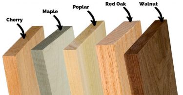 Difference Between Oak and Maple