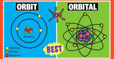 Difference Between Orbit and Orbital