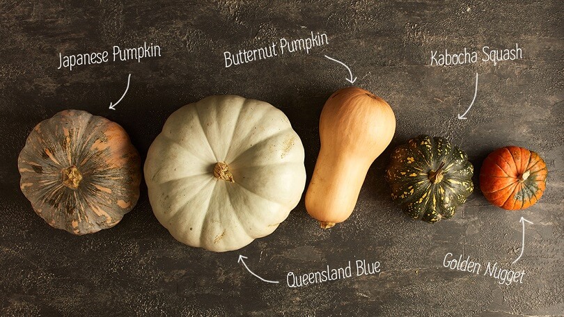 Difference Between Pumpkin and Squash