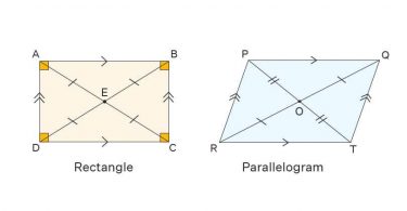 Difference Between Rectangle and Parallelogram