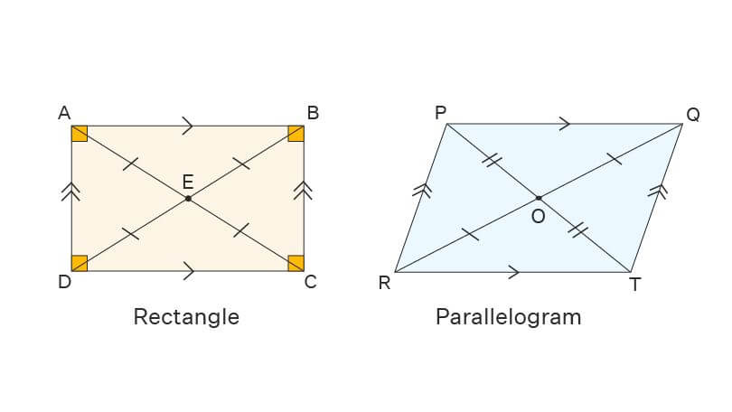 Difference Between Rectangle and Parallelogram