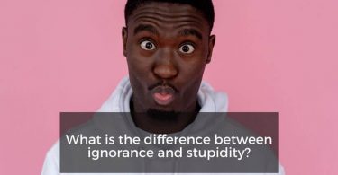 Difference Between Stupid and Ignorant