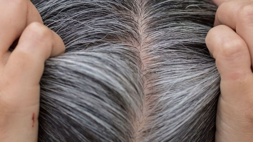 Difference between Gray Hair and White Hair