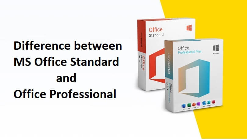 Difference between MS Office Standard and Office Professional