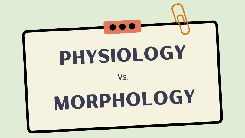 Difference between Physiology and Morphology
