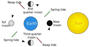 Difference between Spring and Neap Tides
